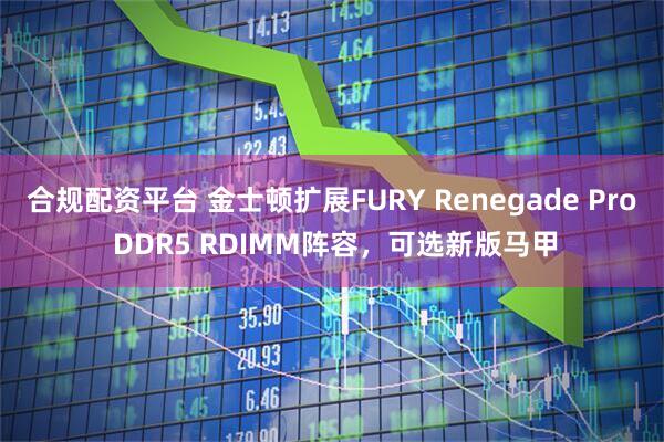 合规配资平台 金士顿扩展FURY Renegade Pro DDR5 RDIMM阵容，可选新版马甲